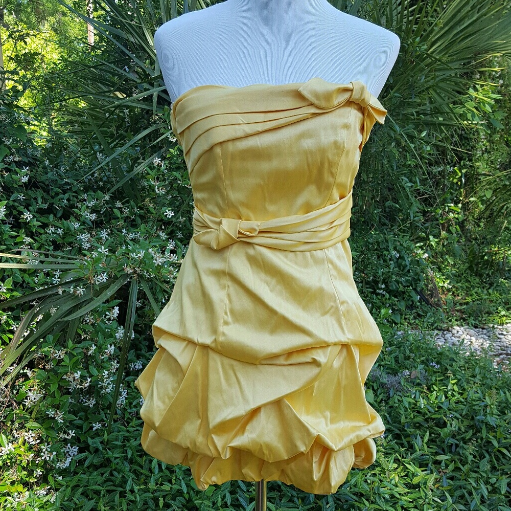 Prom Dress / Formal Dress / Cocktail Dress